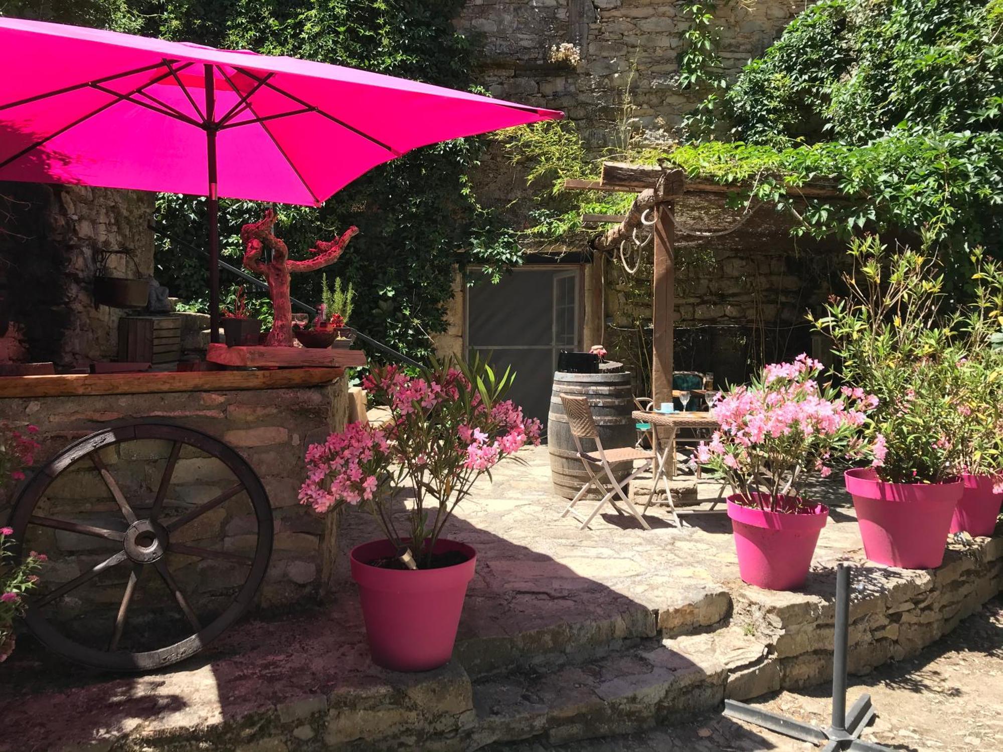 Bed and Breakfast Domaine D'Alcapies Saint-Jean-dʼAlcapiès Exterior foto